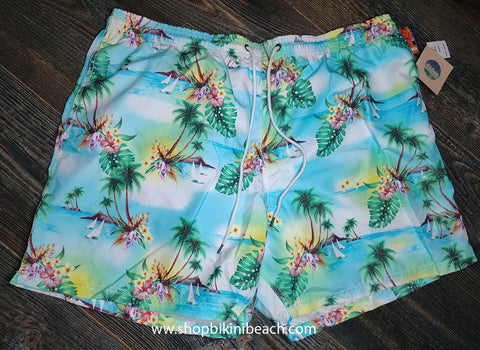 45208 'boat ride' mens boardshorts from Eidon